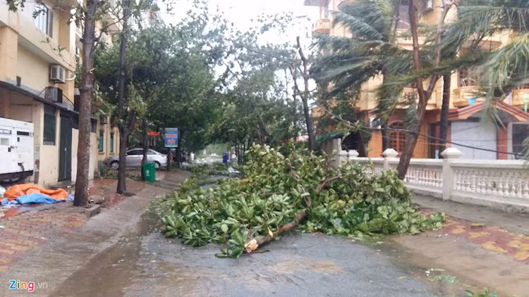 Cơ quan khí tượng dự báo trong hôm nay, bão di chuyển chủ yếu theo hướng tây, mỗi giờ đi được 20 km.