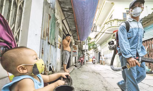 Phong su anh: Cang minh chong sot xuat huyet