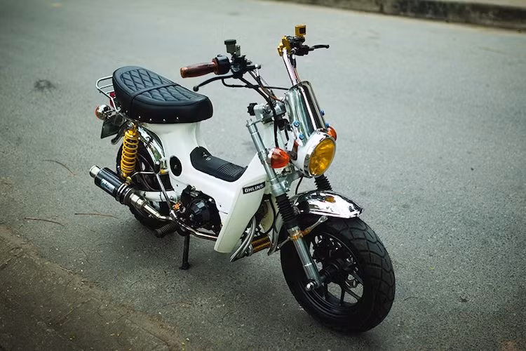 Bên cạnh những chiếc Super Cub, dòng xe minibike Honda Chaly 50 cũng đã một thời được nhập khẩu khá nhiều vào Việt Nam dưới dạng xe "Nhật bãi" đã qua sử dụng. Với kích thước nhỏ gọn và trọng lượng nhẹ, dòng xe này từng một thời rất được ưa chuộng bởi phái đẹp. Tuy nhiên tại nhiều nước trên Thế giới và ngay cả tại Việt Nam, phong trào chơi xe Honda Chaly cúc cu cũng phát triển rất mạnh.