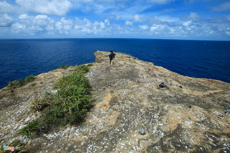 Phân chim phủ trắng bề mặt đảo.