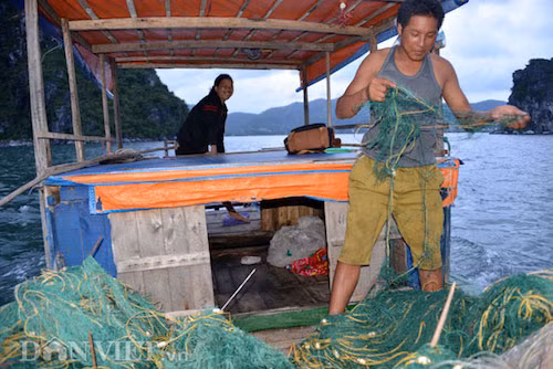 Tan mat thay cao thu san con cu ky nuc tieng Bai Tu Long-Hinh-3