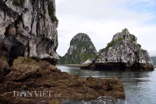 Tan mat thay cao thu san con cu ky nuc tieng Bai Tu Long-Hinh-4