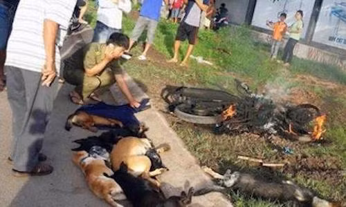 Ca lang cung danh trom cho, nguy co phoi nhiem HIV-Hinh-4