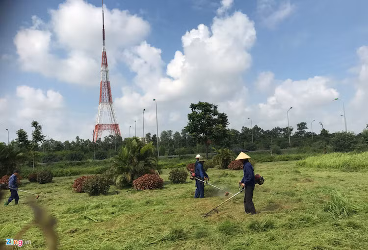 Công việc chăm sóc cây xanh chủ yếu thực hiện ở đoạn phía trước Trung tâm Hội nghị Quốc gia Mỹ Đình. Những khu vực khác từ cầu vượt Mễ Trì về phía Hoà Lạc đã không còn được cắt tỉa dọn dẹp một năm nay.