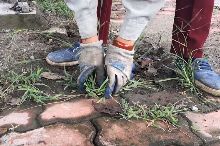 Các chị em thuộc đơn vị U7 (Công ty Cầu Diễn, trực thuộc Cty Môi trường Đô thị Hà Nội) cho biết họ cũng mới triển khai kế hoạch dọn dẹp vỉa hè và lòng đường đại lộ được vài ngày gần đây.