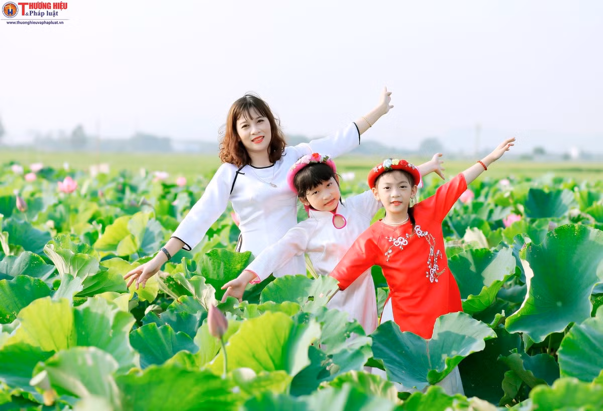 Me gia Ha Noi thu nua ty moi vu nho cay 