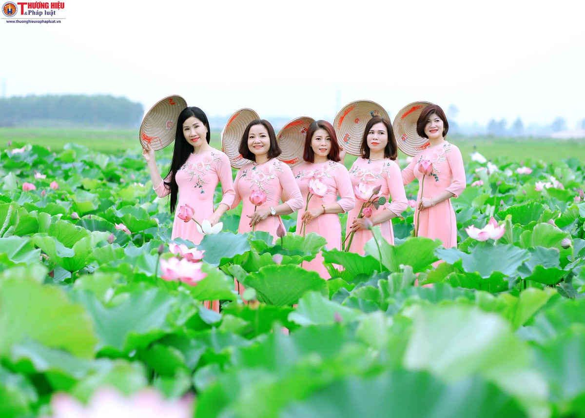 Me gia Ha Noi thu nua ty moi vu nho cay 