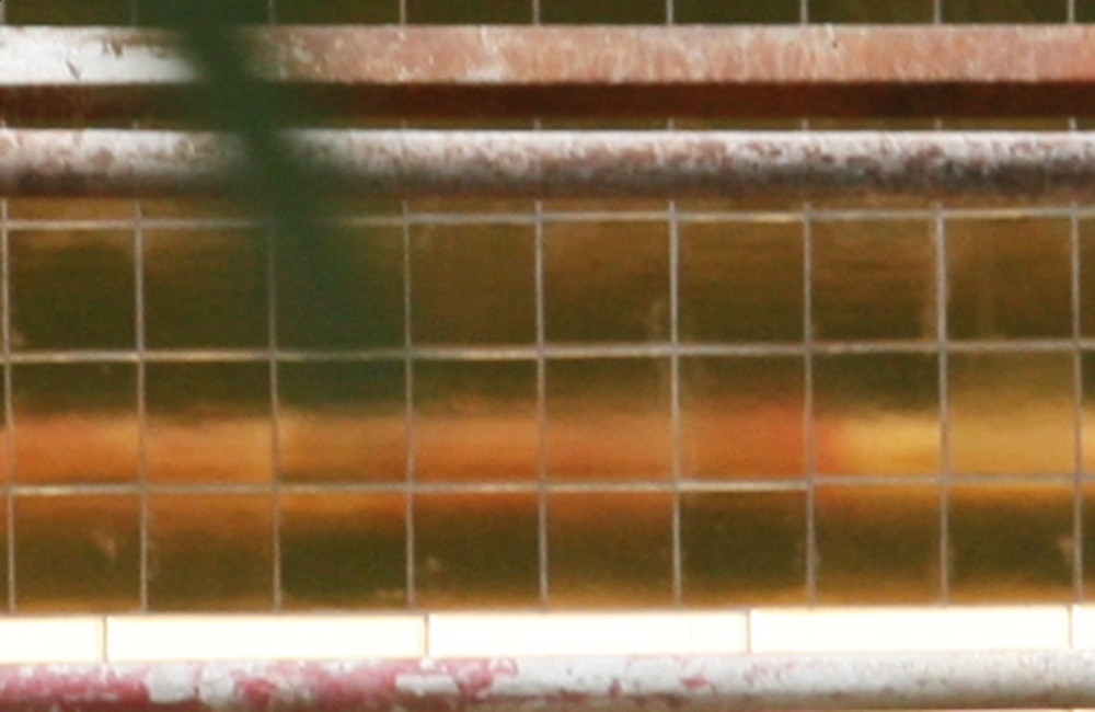 Cận cảnh những viên gạch men phủ vàng 24k bên ngoài dự án khách sạn Hà Nội Golden Lake.