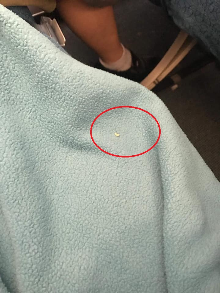 Khach phat hien chan tren may bay Vietnam Airlines co gioi: Hang noi gi?-Hinh-3