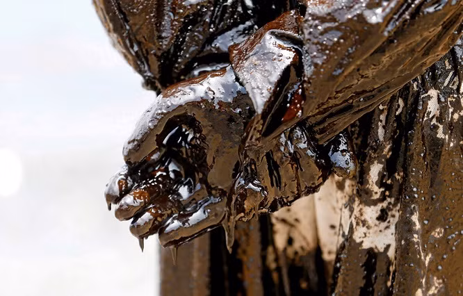 13. Một thành viên của lực lượng bảo vệ bờ biển Sri Lanka bị dầu bao phủ sau thi làm nhiệm vụ khắc phục một sự cố tràn dầu tại một bãi biển ở Uswetakeiyawa.