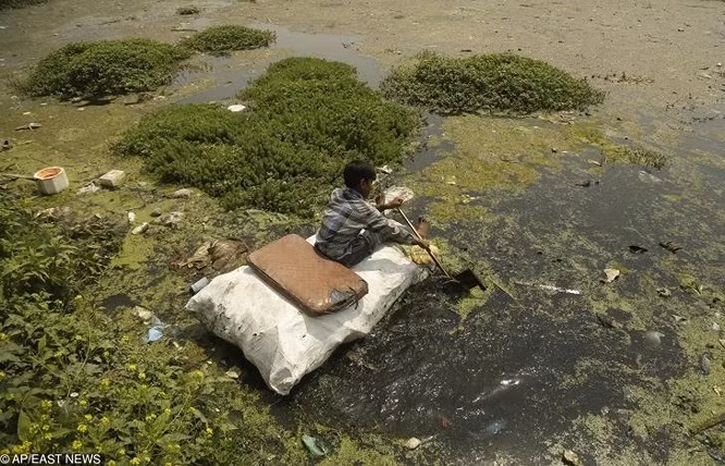 10. Cậu bé thu gom nhựa và các vật liệu có thể tái chế khác từ vùng nước bị ô nhiễm của hồ Bab Demb ở Srinagar, Ấn Độ.