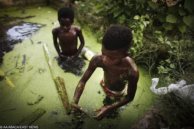3. Trẻ em sống ở Pantanal Favela ở Brazil săn ếch trong vùng nước bị ô nhiễm để giúp đỡ gia đình.