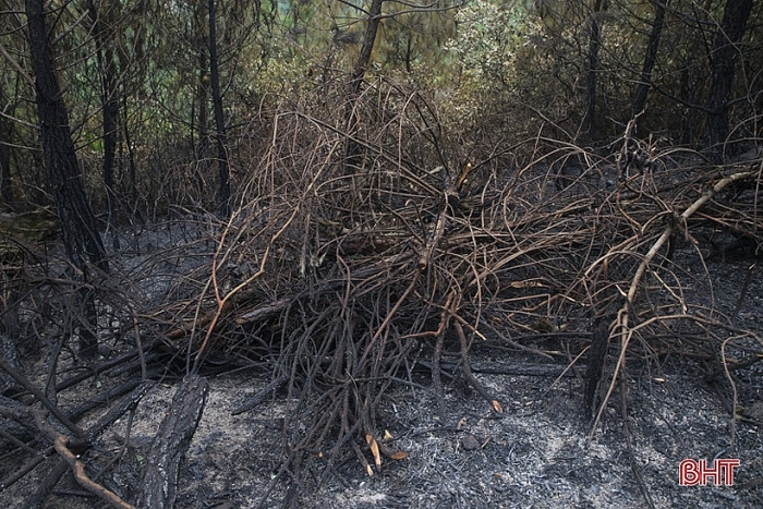 ...cùng với màu đen của than tro tạo nên một khung cảnh hoang tàn, trơ trọi.