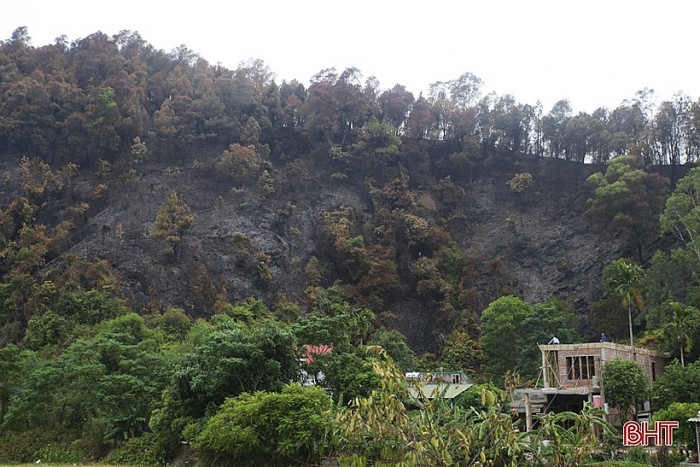Rất may không có thương vong về người và tài sản, tuy nhiên ước tính có tới 50 ha rừng thông phòng hộ tại Nghi Xuân bị thiêu rụi. Trong nhiều ngày tới, chính quyền địa phương cùng các lực lượng chức năng tiếp tục chia thành nhiều tốp, phân ra nhiều khu vực xảy ra cháy rừng để túc trực, theo dõi và xử lý, tránh lửa bùng phát trở lại.