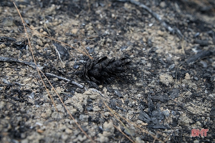 Hiện trường còn lại là đống tro tàn