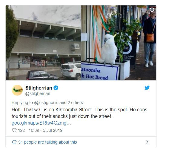 Chu vet co “IQ vo cuc” va hanh dong lam ai cung choang vang-Hinh-4