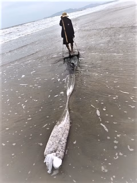 Nguoi dan ong xach bao tai kiem tien trieu moi ngay khien ai cung kinh ngac-Hinh-4