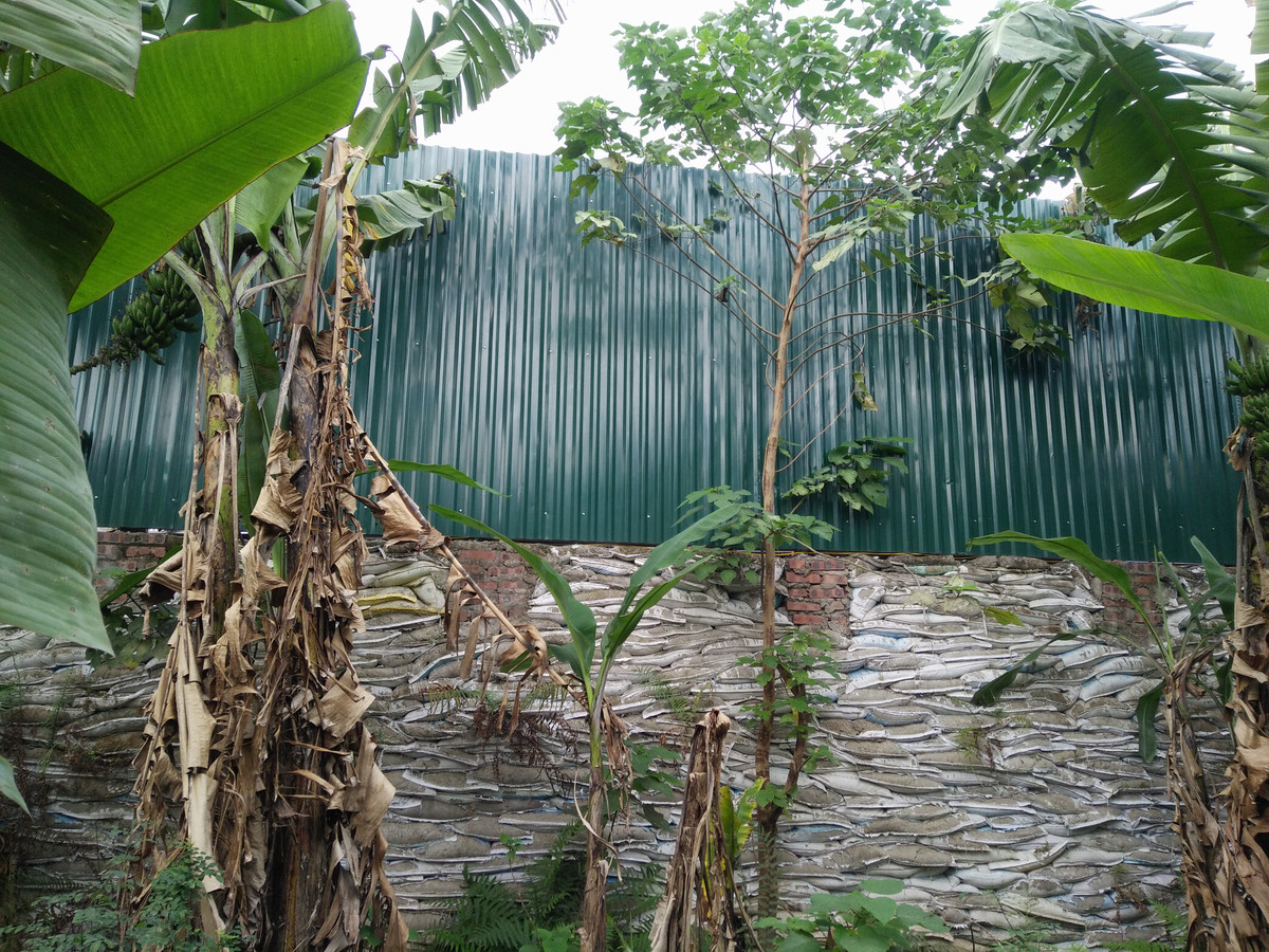 Kè móng, đắp tường rào bằng bao tải đất cát lên rất cao và "vươn" dài ra phía sông Hồng.