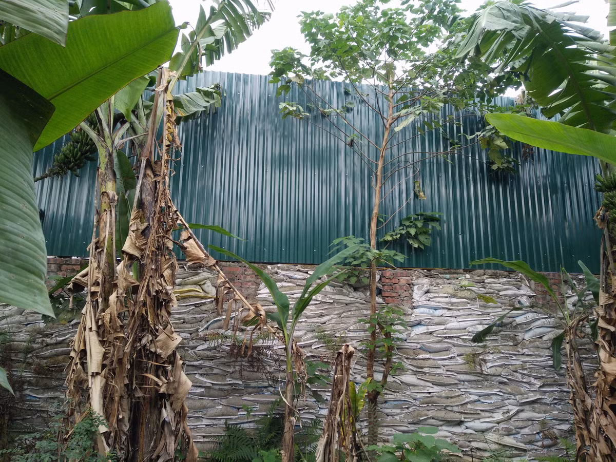 Kè móng, đắp tường rào bằng bao tải đất cát lên rất cao và "vươn" dài ra phía sông Hồng.