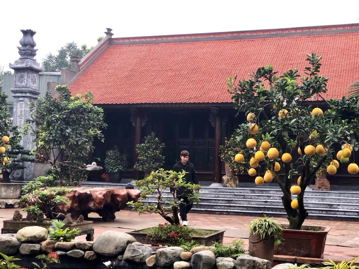 Biet phu go 3D chuc ty dong: Nha hoai co net la cua dai gia Viet