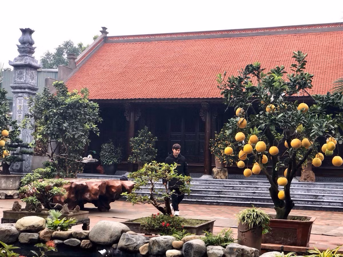 Biet phu go 3D chuc ty dong: Nha hoai co net la cua dai gia Viet