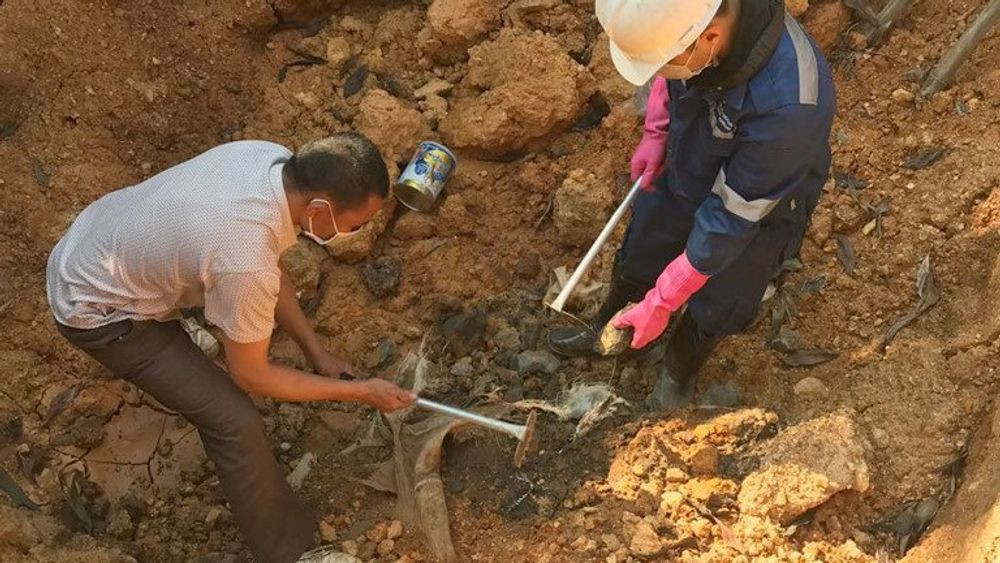 Do chat thai doc hai o Soc Son: Tuong tan chu muu - Chu tich HTX Moi truong xanh Bac Son