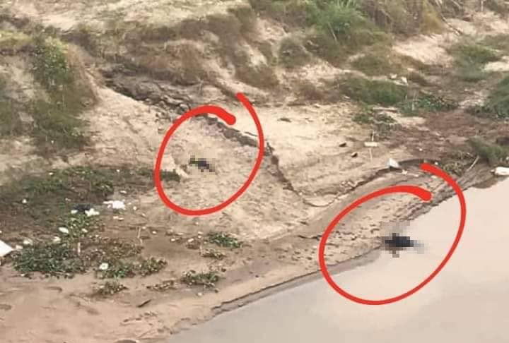 Bang hoang phat hien thi the nghi cha con tu vong duoi chan cau Ngoc Thap