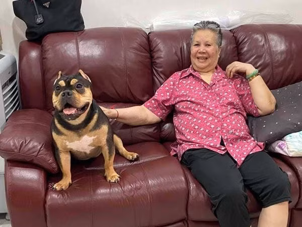 Ba noi keu co ran, chau voi ve va su that gay choang-Hinh-2