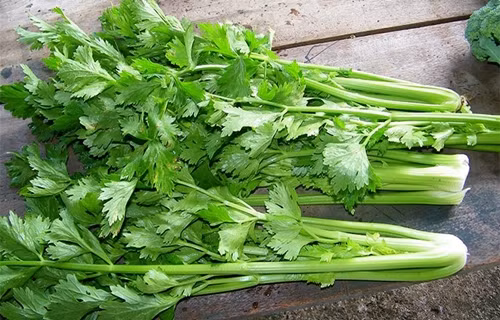 Bat ngo loai rau khong chan truoc khi nau de gay ngo doc-Hinh-2