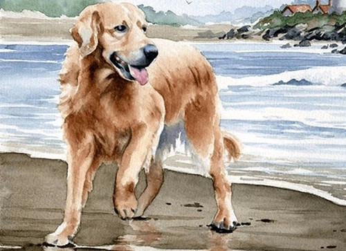 Không chỉ thế, người cầm tinh con chó cũng sẽ đạt được nhiều thành tựu về mặt tình cảm, người có đôi có cặp thì nhân duyên đỏ hồng, mối quan hệ giữa bạn và người yêu sẽ tiến xa hơn.