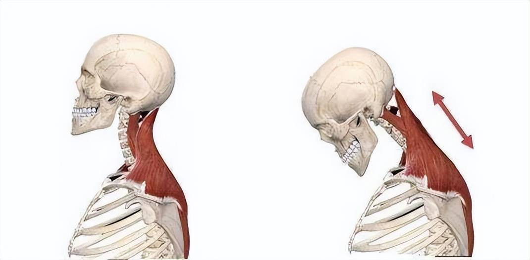 Thoi quen “giet chet” cot song co, nhieu nguoi tho o