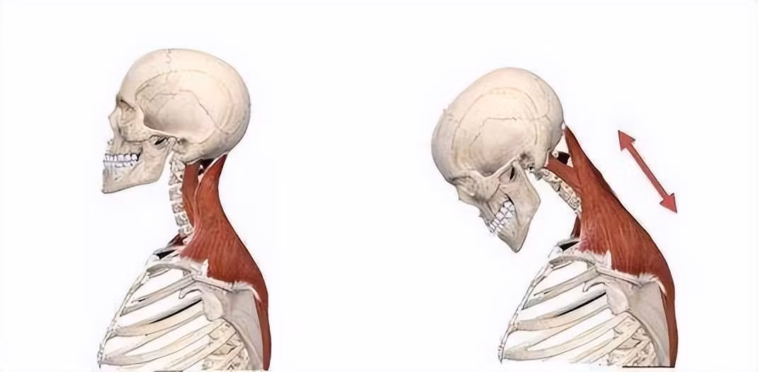 Thoi quen “giet chet” cot song co, nhieu nguoi tho o