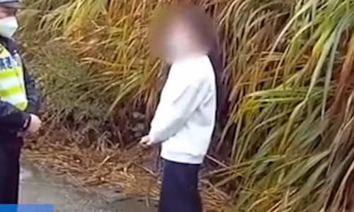 Chong khong mua do an sang, vo lam dieu khong ngo