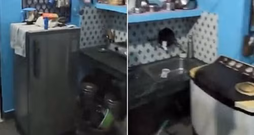 Bo ua bao luc, con trai cung me ke lam chuyen ron nguoi-Hinh-2