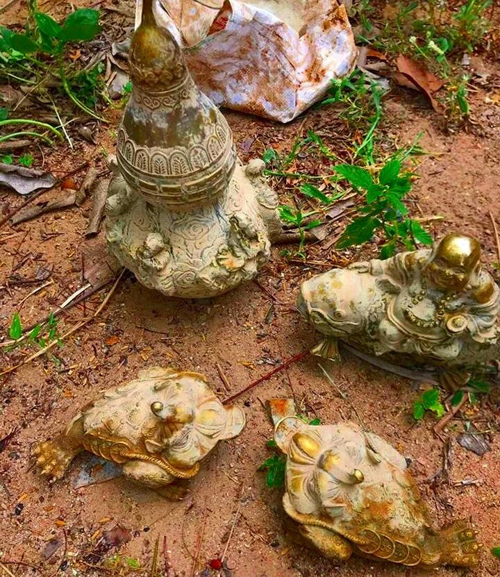 Dao ao bat ngo phat hien 'kho bau' khung gan nui Tau-Hinh-2