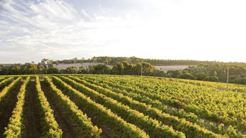 1. Sông Margaret và Tây Nam Úc: Từ những vườn nho bạt ngàn cho tới những hoạt động như lướt sóng, nơi đây mang lại cho du khách tất cả những gì họ cần trong một chuyến đi tuyệt vời tại khu vực châu Á - Thái Bình Dương.