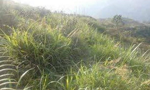 5 ga hiep dam tap the nu sinh lop 7 deu da co vo