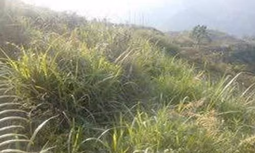 5 ga hiep dam tap the nu sinh lop 7 deu da co vo