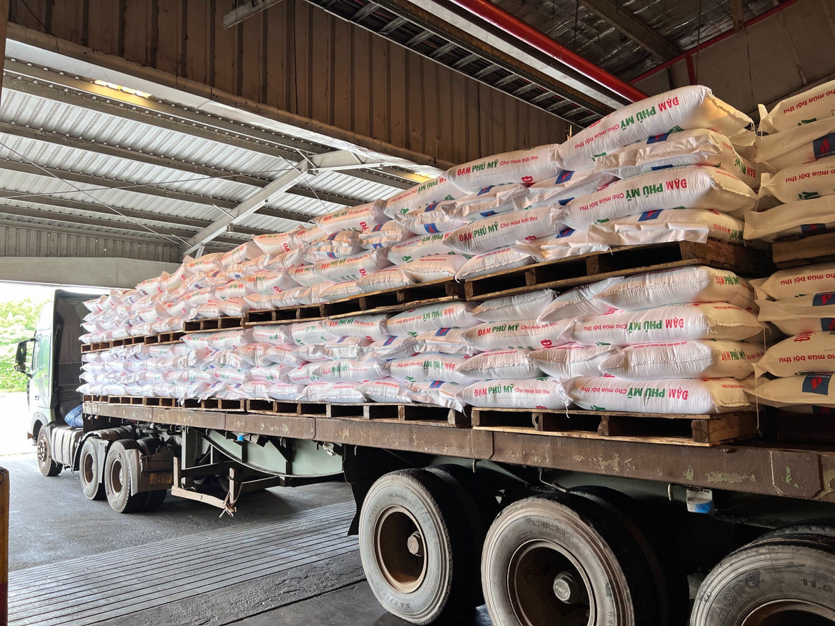 Giá nông sản tăng cao, giá phân bón trở về bình ổn Gia nong san tang cao, gia phan bon tro ve binh on