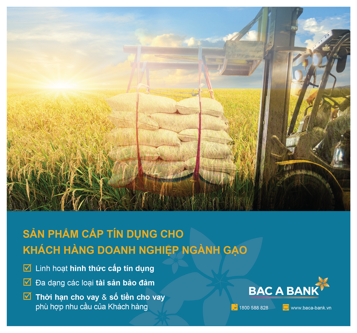 Doanh nghiệp ngành gạo đón “trợ lực” từ Bac A Bank Doanh nghiep nganh gao don “tro luc” tu Bac A Bank