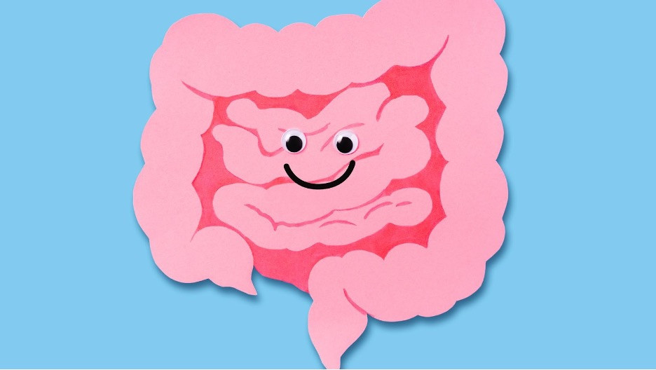 Ban co biet “he than kinh ruot” giong nhu bo nao thu hai cua con nguoi?