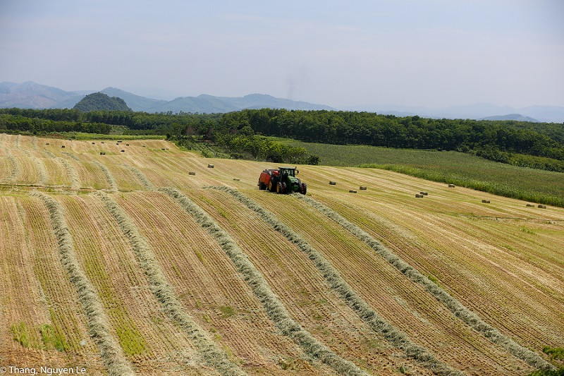 Anh Hung Lao dong Thai Huong duoc ton vinh Nha Lanh dao phat trien ben vung cua nam o hang muc toan cau-Hinh-7
