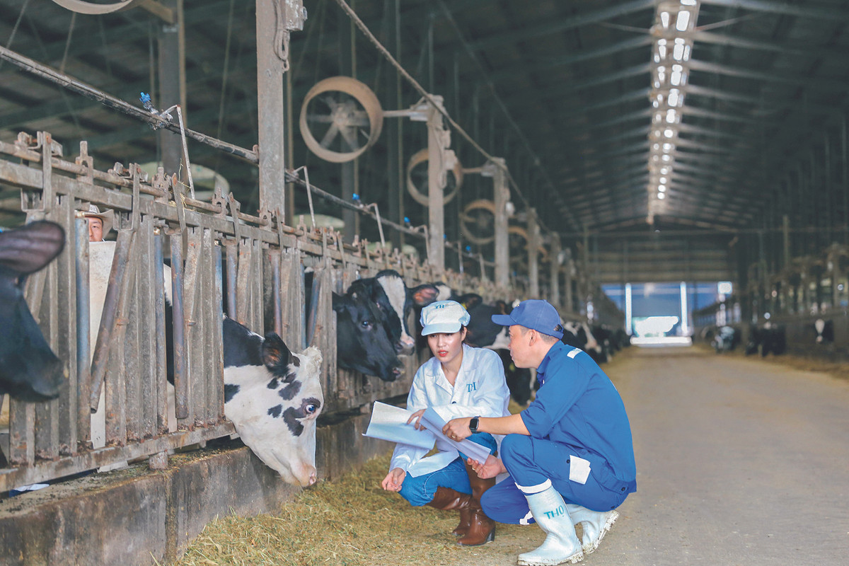 Anh Hung Lao dong Thai Huong duoc ton vinh Nha Lanh dao phat trien ben vung cua nam o hang muc toan cau-Hinh-6