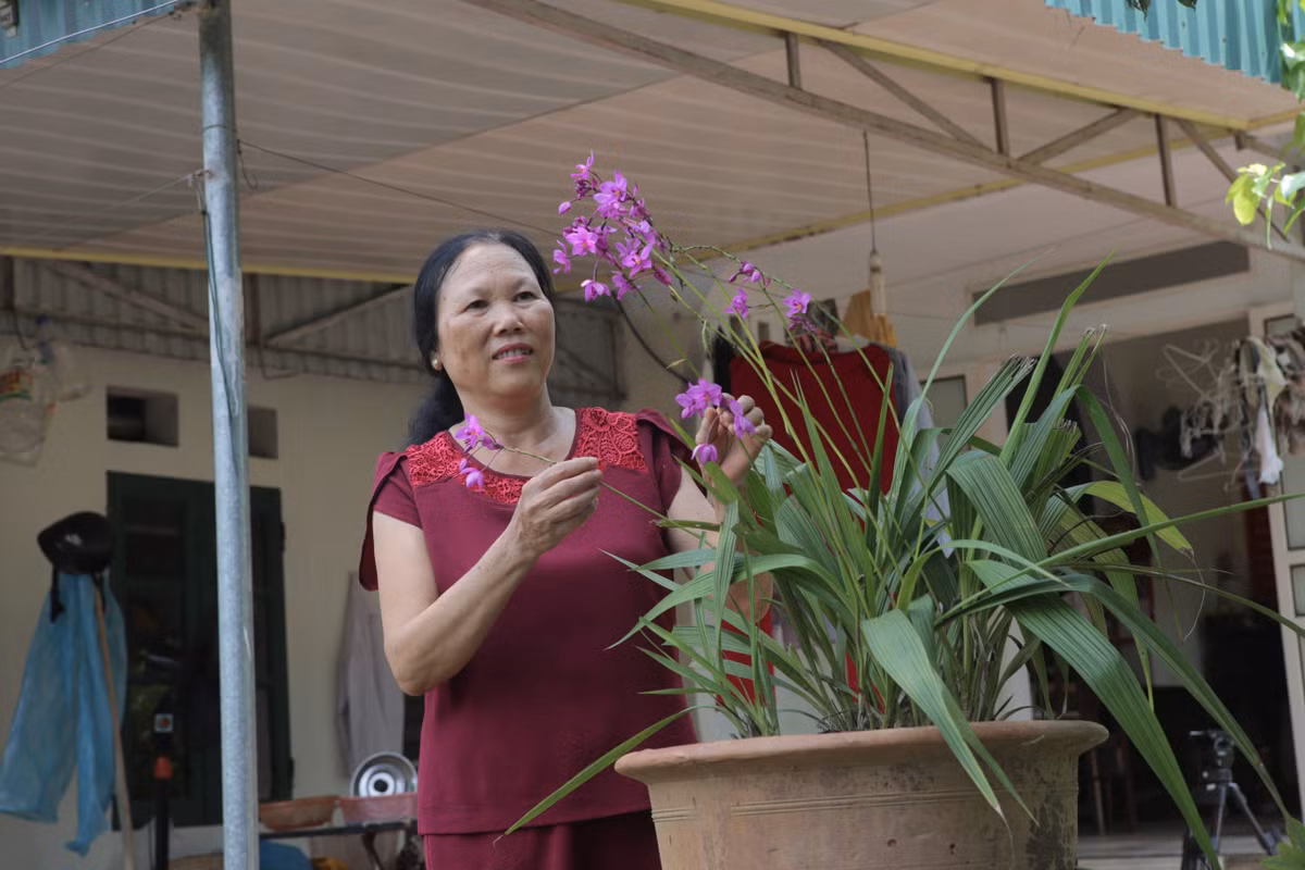 Hanh trinh hon 10 nam Vien khop Tam Binh cham soc suc khoe nguoi Viet-Hinh-2