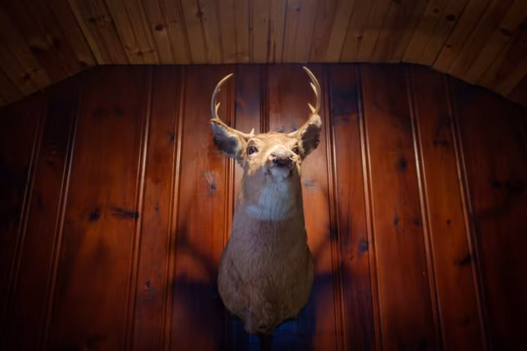 Xác động vật Nếu thực vật chết được cho là mang năng lượng tiêu cực vào nơi ở của bạn, thì động vật cũng như vậy. Bạn muốn cái đầu hươu với cặp mắt to tròn, vô hồn chào đón khách của bạn? Và hơn hết điều này có thể gây hoảng sợ cho những người lần đầu tiên thấy chúng, gây cảm giác khó chịu cho người thân trong gia đình. Tương tự như vậy, bạn nên tránh xa tác phẩm nghệ thuật tái hiện cảnh hủy diệt, như một con tàu đắm hoặc một trận chiến. Tất cả chúng đều mang lại nguồn năng lượng tiêu cực cho ngôi nhà.