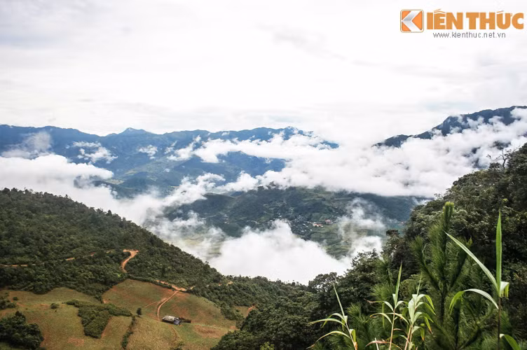 Hình như ta đang bay trên một tấm thảm.