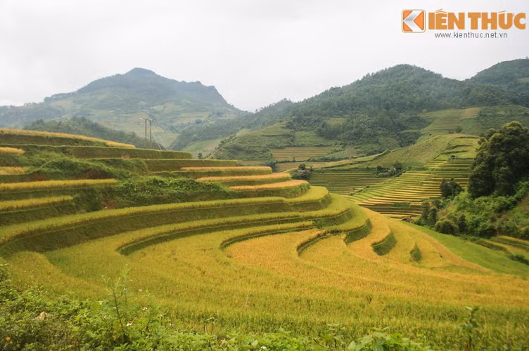 Không thể không đắm mình vào những thửa ruộng bậc thang lên xuống như thế này.