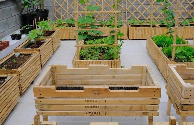 Bo tri goc vuon nho xinh cho nha chat-Hinh-3