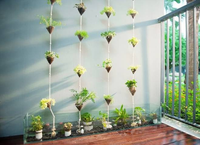 Bo tri goc vuon nho xinh cho nha chat-Hinh-4