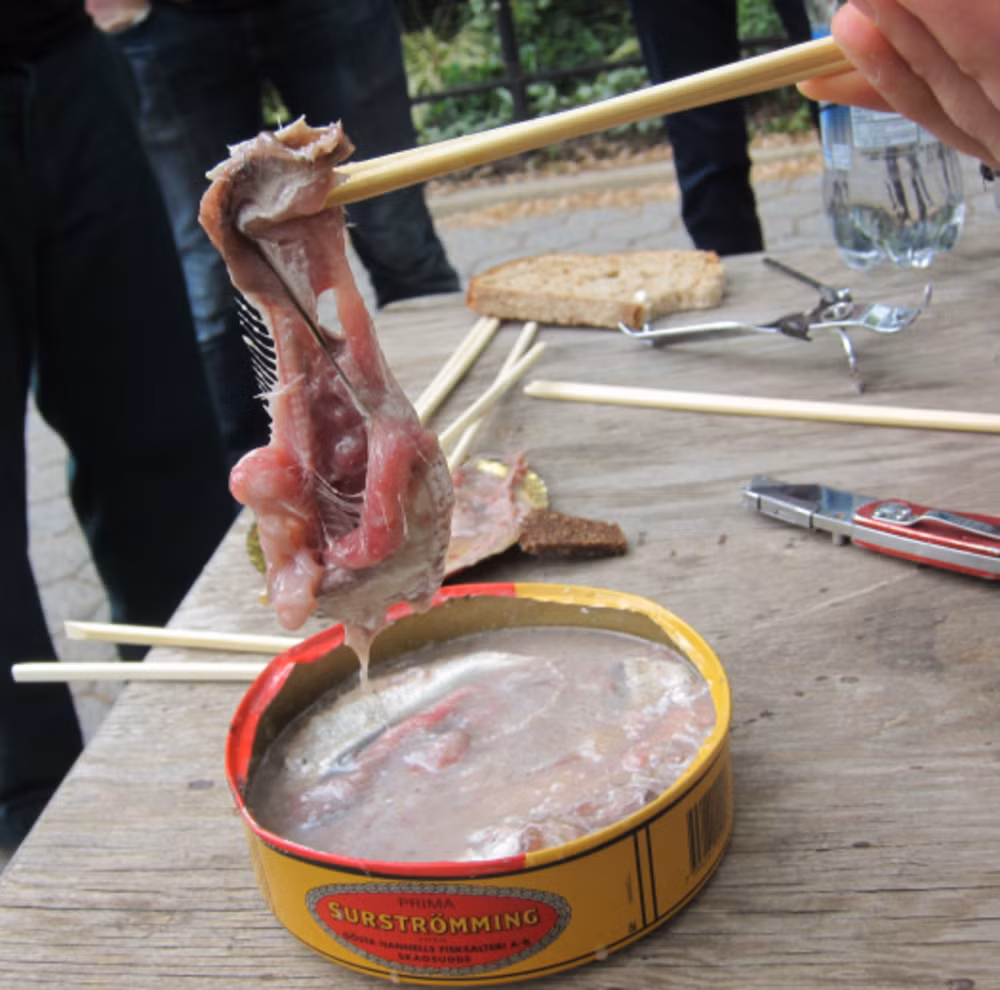 Cá thối Surströmming là đặc sản được ưa thích ở Thụy Điển. Đây là món cá trích được lên men trong thùng khoảng vài tháng. Ảnh: Popular Science.